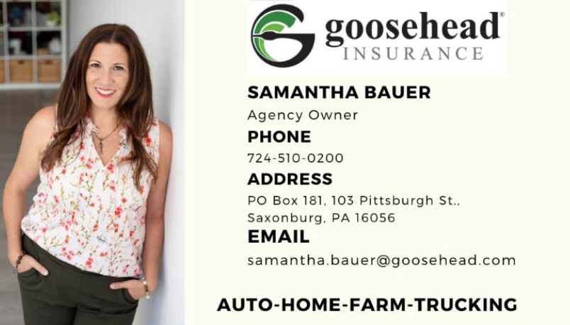 Bauer Agency LLC, Goosehead Insurance